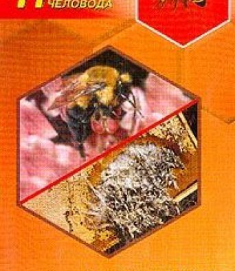 Книга БОЛЕЗНИ ПЧЕЛ