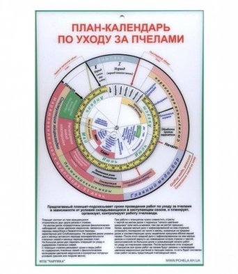 ПЛАН КАЛЕНДАРЬ по уходу за пчелами