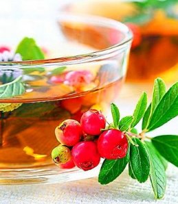 Зеленый чай с Брусникой