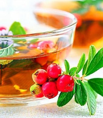 Зеленый чай с Брусникой